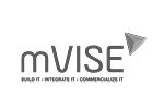 mVise Logo