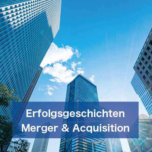 Erfolgsgeschichten Merger und Acquisition